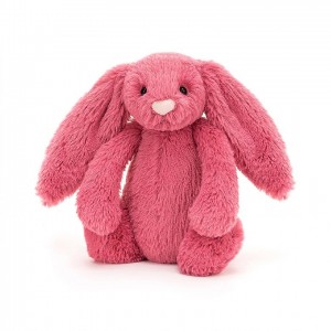 Jellycat Bashful Cerise Bunny Tiny | WCROP6413