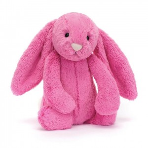 Jellycat Bashful Hot Pink Bunny Tiny | QHFXO8495