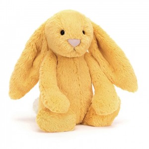 Jellycat Bashful Sunshine Bunny Tiny | LVRHA9532