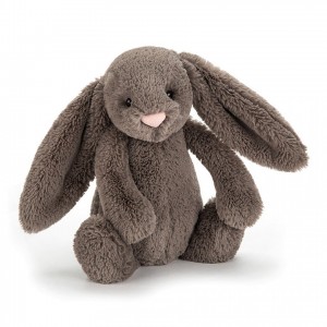 Jellycat Bashful Truffle Bunny Tiny | ROLHB6172