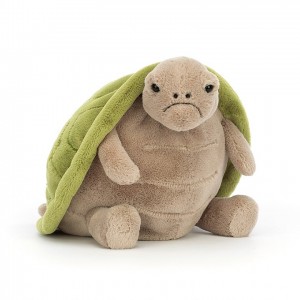 Jellycat Timmy Turtle | DHUCL6302