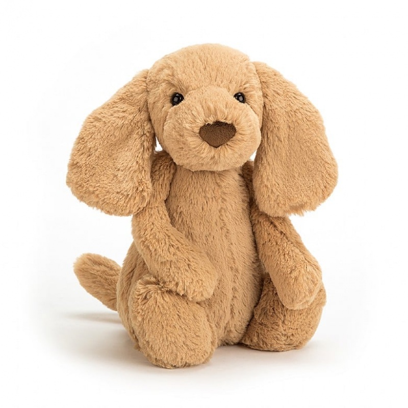 Jellycat Bashful Toffee Puppy Medium | FTKLY1053