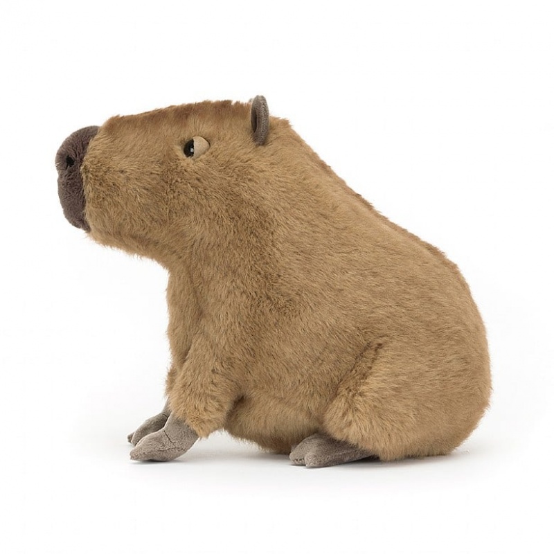 Jellycat Clyde Capybara | SBURC9714