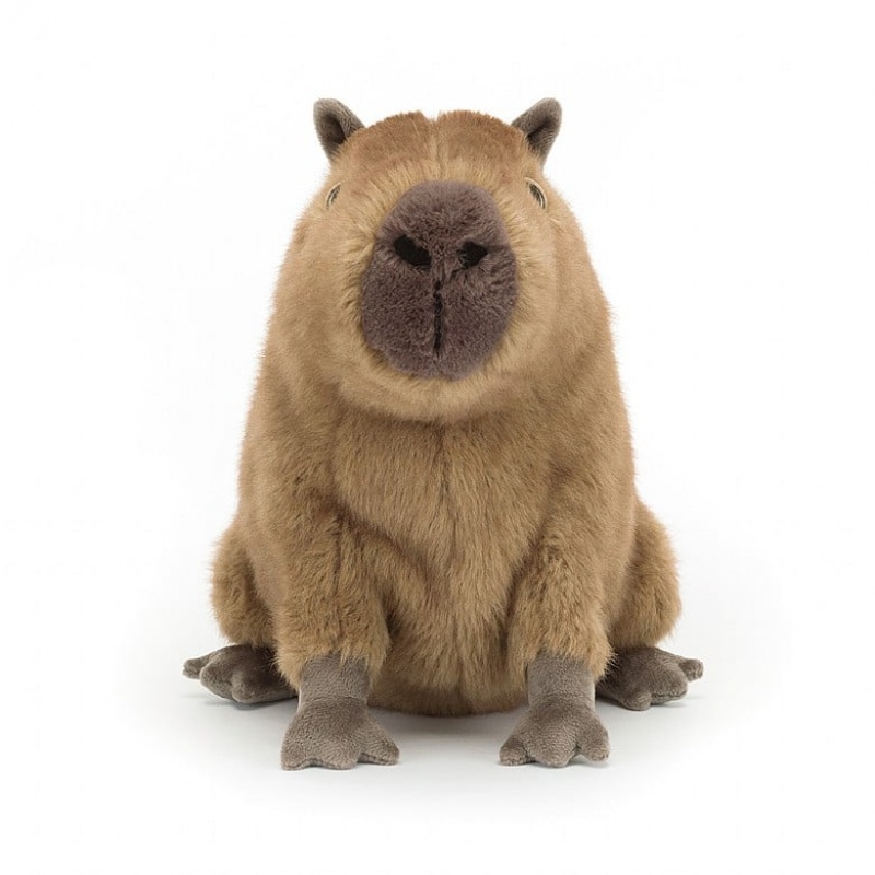 Jellycat Clyde Capybara | SBURC9714