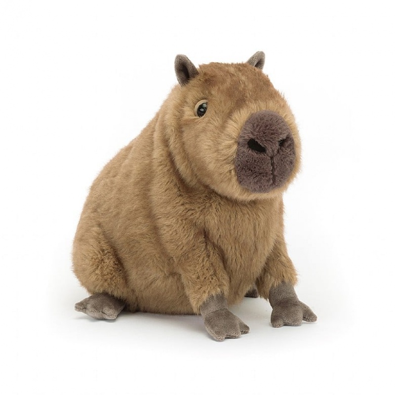 Jellycat Clyde Capybara | SBURC9714