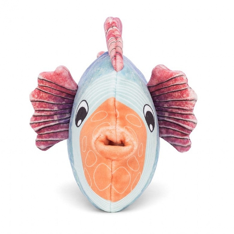 Jellycat Fishiful Blue | GSBMI5061