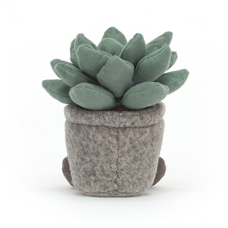 Jellycat Silly Succulent Azulita | BIMKX3217