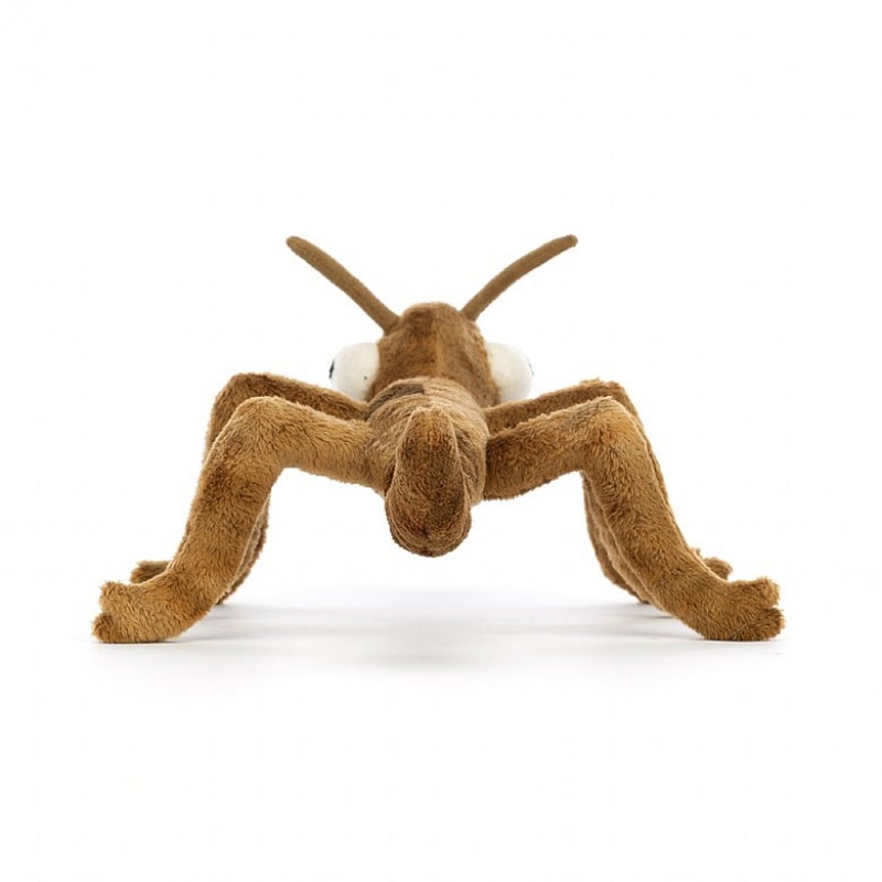 Jellycat Stanley Stick Insect | HBDSQ9860